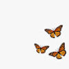 lydiamia15